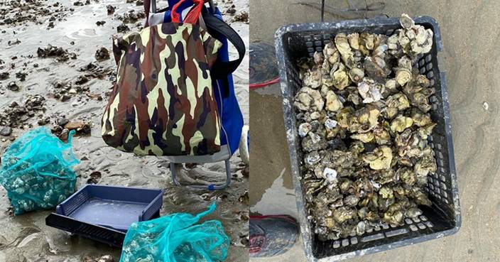 大媽團殺入大嶼山水口狂掘生蠔即開即食