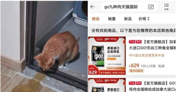 進口貓糧致千隻貓嘔吐血便或死亡代理商上門取樣送檢