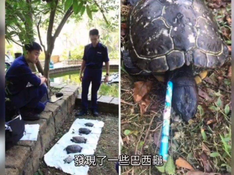警方夥宋芝齡拍片教辨別受虐動物 籲市民攜手守護動物