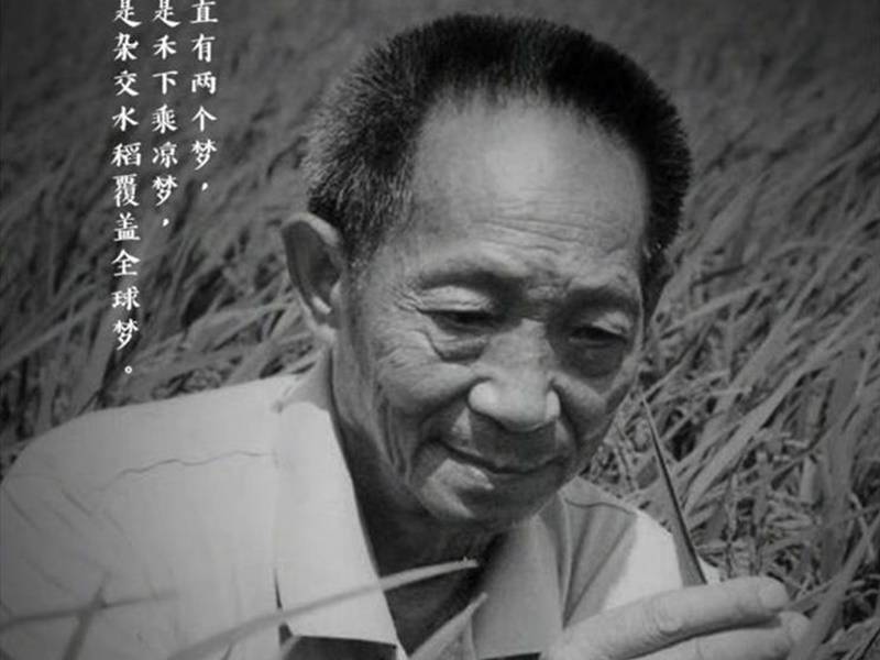 雜交水稻之父袁隆平長沙病逝 享年91歲