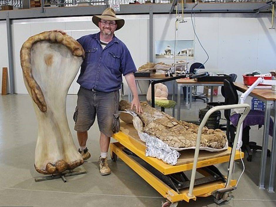 Une nouvelle espèce de dinosaure géant découverte en Australie (vidéo) By Jack35 _2021060817052486413