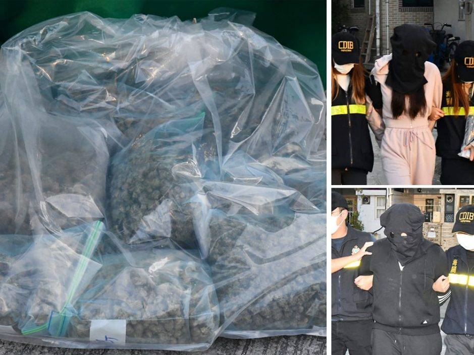 海關元朗反毒品行動檢1200萬元大麻 兩男女被捕