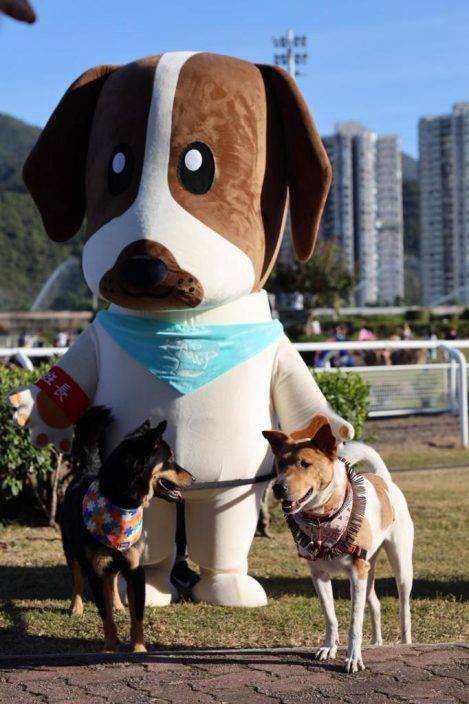 警派兩「守護之星」警犬 向350市民宣傳愛護動物信息