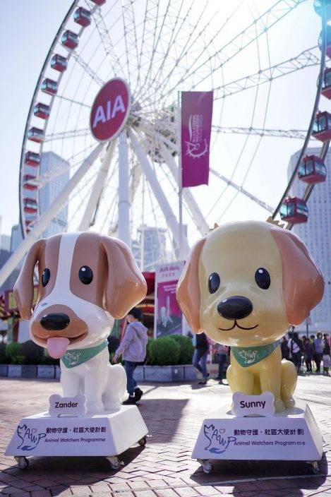 警派兩警犬Sunny及Zander 向逾千名市民宣傳愛護動物信息