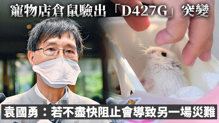第5波疫情｜寵物店倉鼠驗出「D427G」突變 袁國勇：若不盡快阻止會導致另一場災難