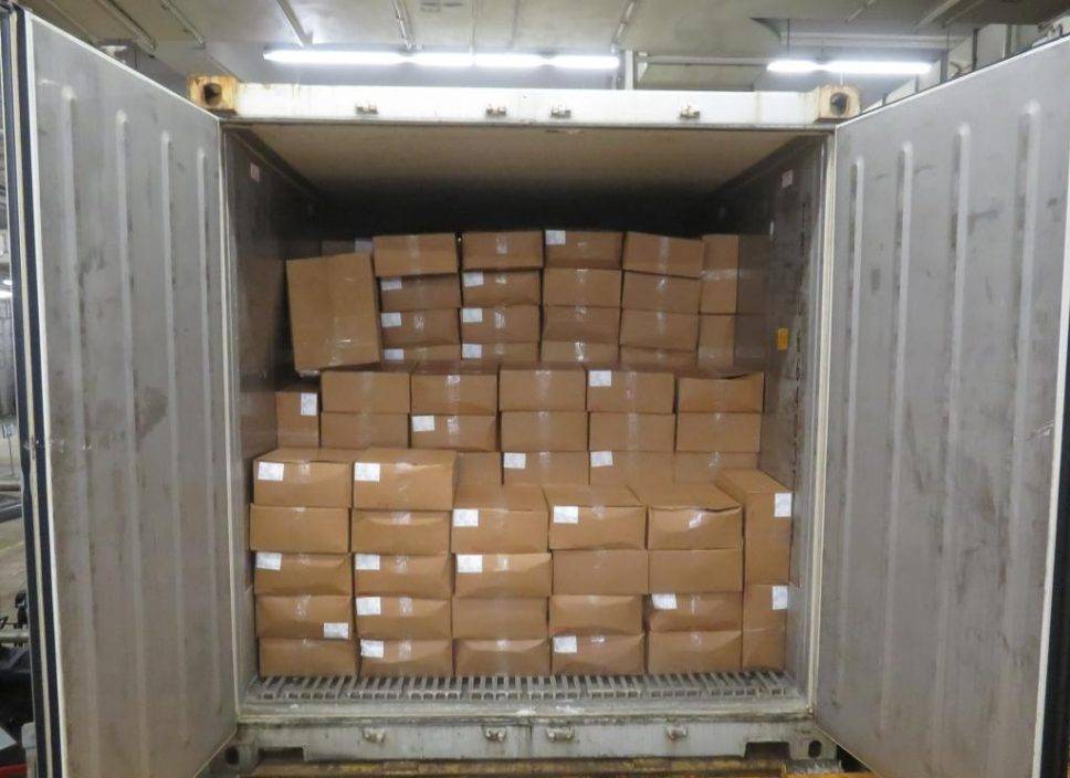 蘇里南抵港凍肉貨櫃藏1.4億元可卡因 兩男子被捕