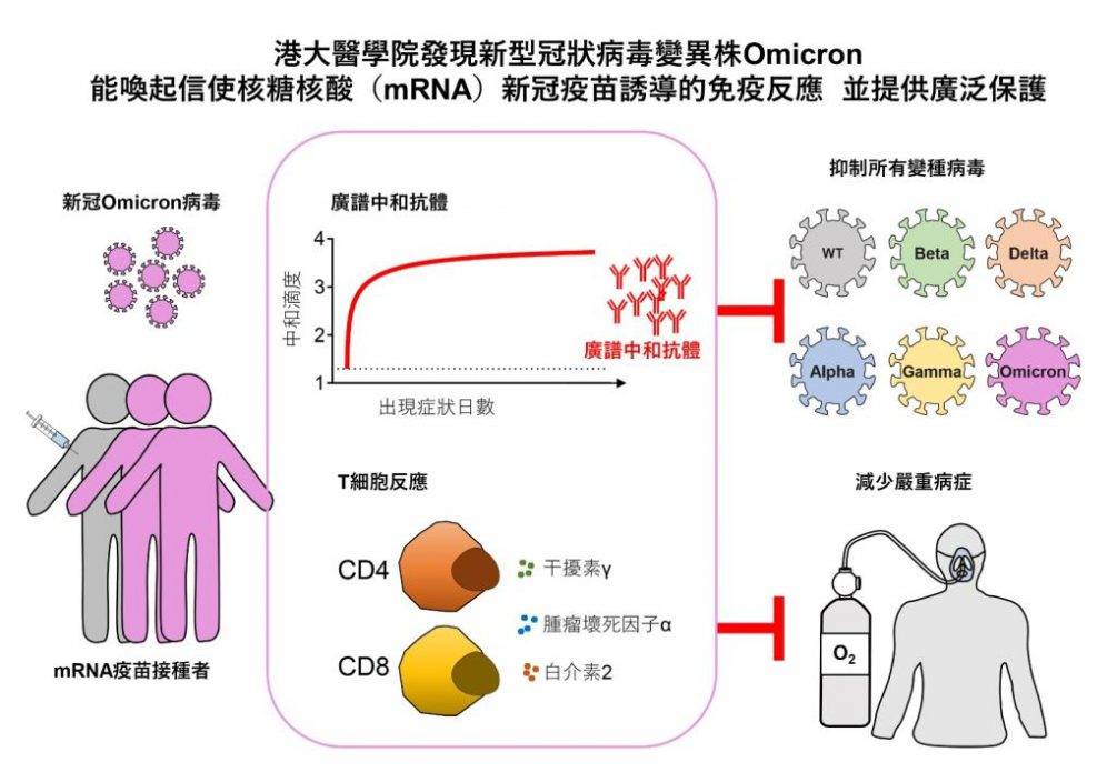 第5波疫情｜港大研究：復必泰疫苗接種者感染Omicron 仍可快速產生免疫反應