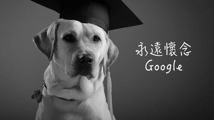 本港首隻本土訓練導盲犬Google 因癌病離世
