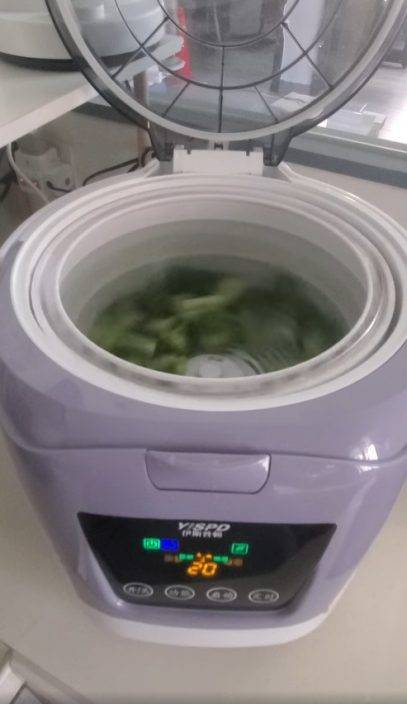 Juicy叮｜港人網購「洗菜機」 被網民質疑無必要