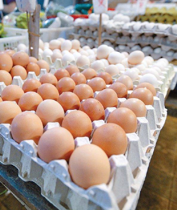 罐頭雞蛋貴一成漲不停 全球糧價升薯片加價20%