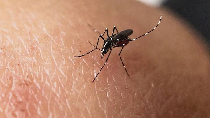 6月持續雨天致白紋伊蚊誘蚊器指數上升 食環加強防蚊及滅蚊