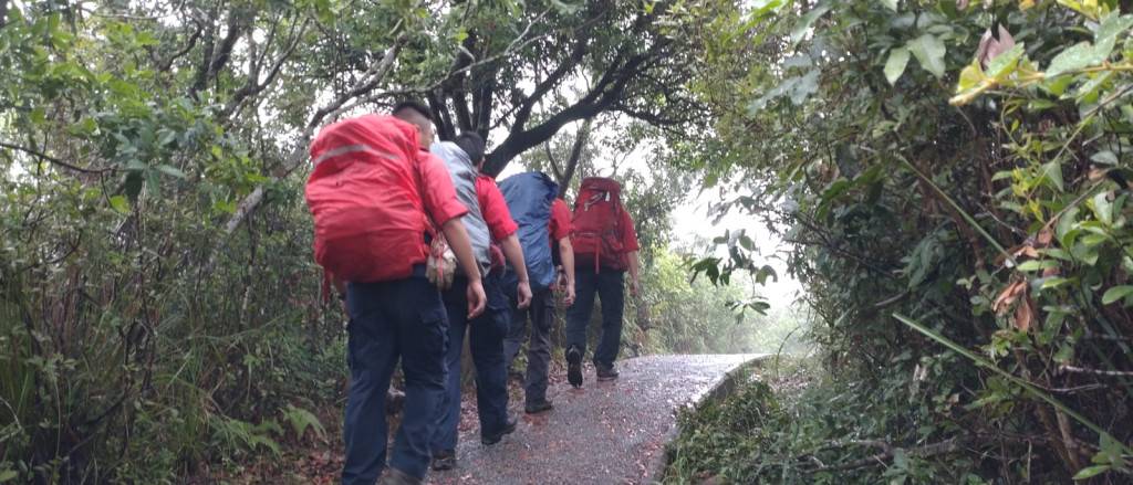 58歲林小儀疑行山失蹤逾半月 跨部門持續上山搜救