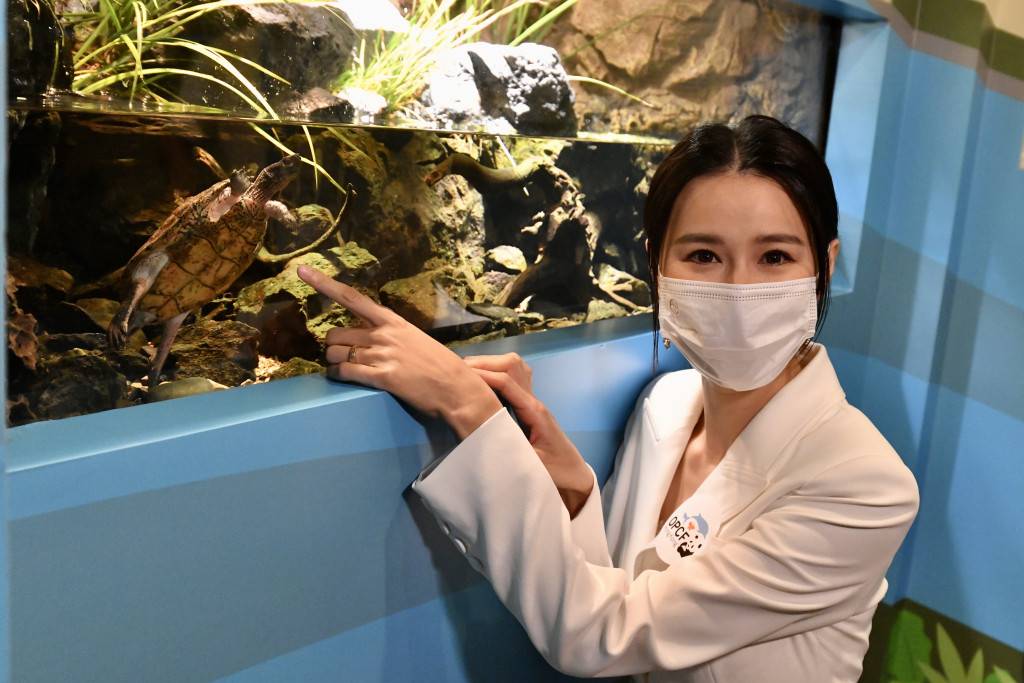 第27屆海洋公園保育日 籲齊心守護野生淡水龜
