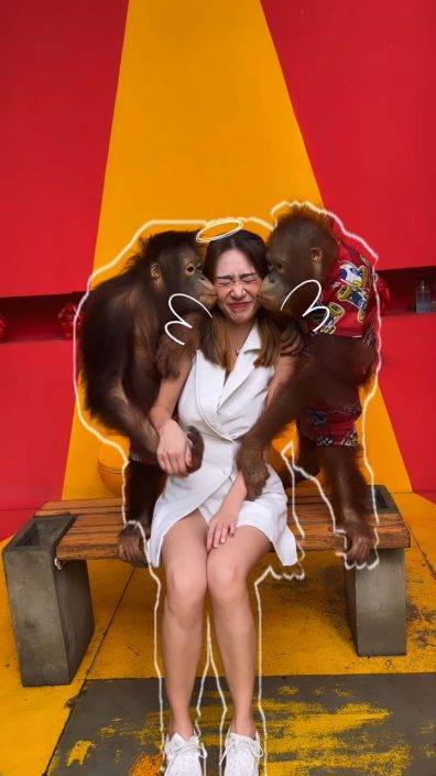 黃嘉雯遭馬騮強吻面容扭曲返港即確診  泰國猩猩特別熱情  TVB小花曾被「胸襲」