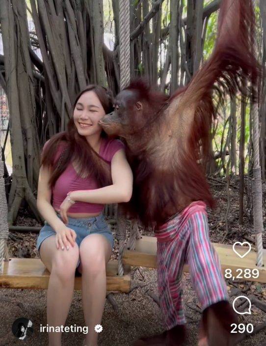 黃嘉雯遭馬騮強吻面容扭曲返港即確診  泰國猩猩特別熱情  TVB小花曾被「胸襲」
