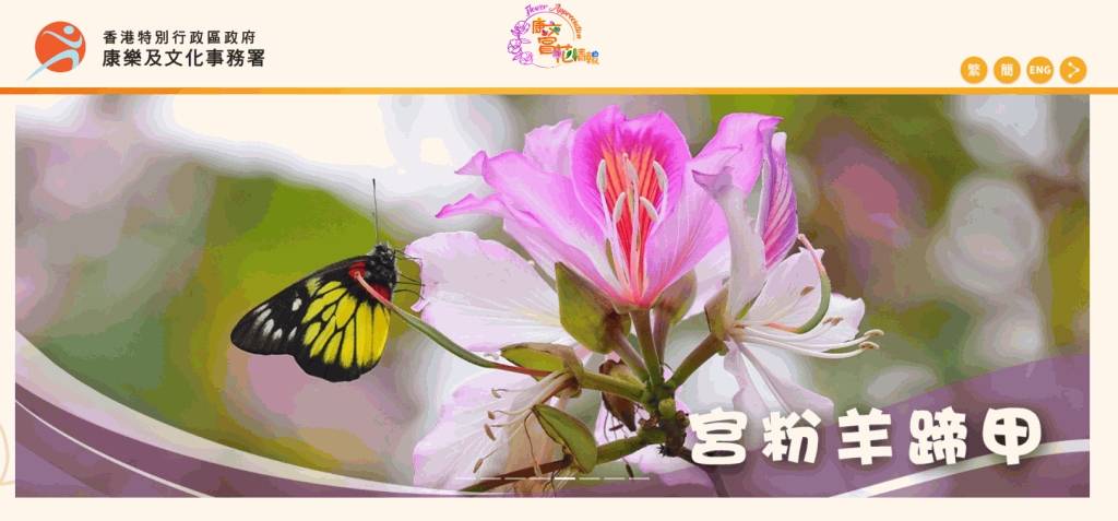 康文署推出賞花情報網站 定時更新8種受歡迎植物包括紅葉櫻花等開花資訊