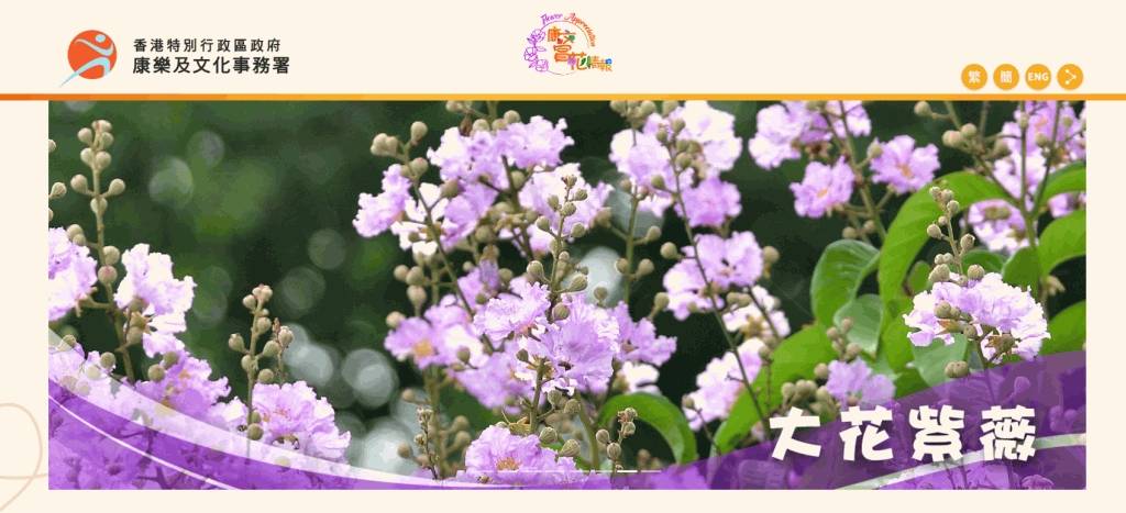 康文署推出賞花情報網站 定時更新8種受歡迎植物包括紅葉櫻花等開花資訊