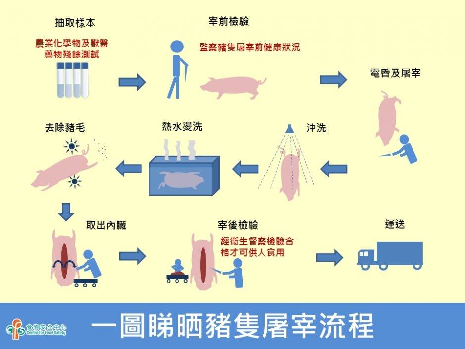 上水屠房奪命意外|死者妻子埋怨過年過節宰豬數目大增 儀器不足下人手屠宰添風險