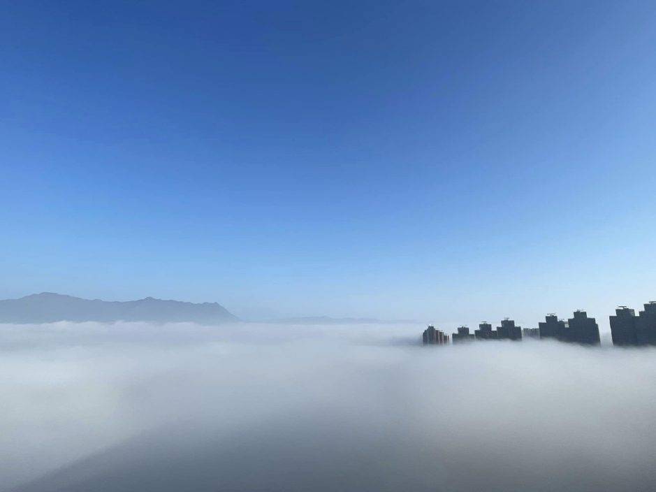 年初二海霧籠罩 沙田馬鞍山多區變仙境 天文台：明日氣溫降至12度
