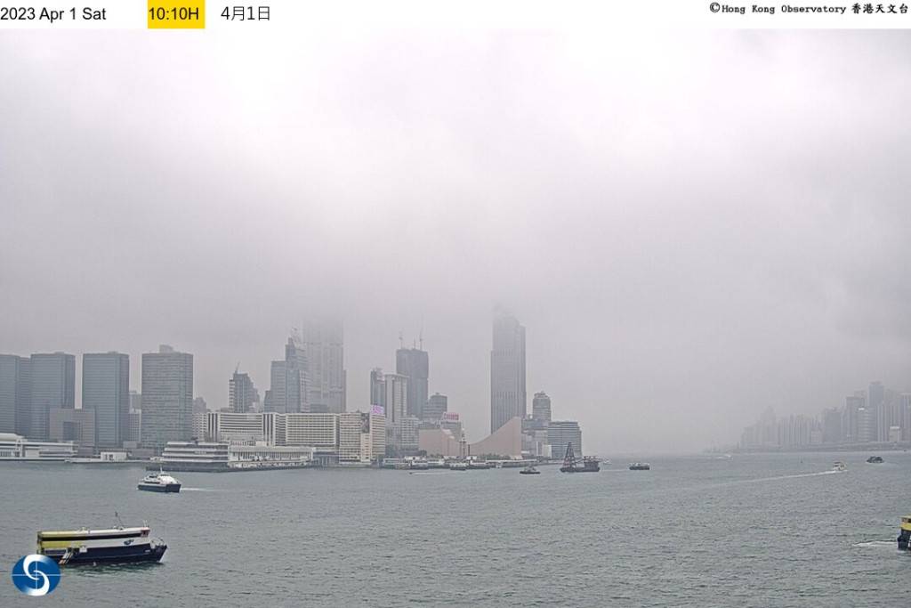 天氣｜霧鎖香江春意濃 能見度一度降至2000米以下 料冷鋒下周後期橫過